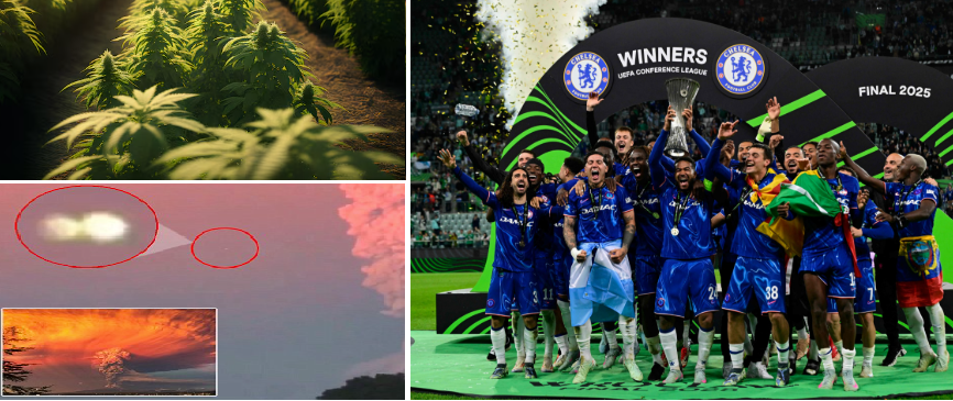 Marcaram o Mundo nesta semana: Clonagem de Cannabis, Chelsea Campeão e OVNI no Chile