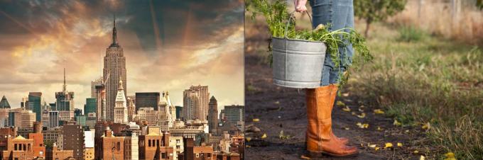 Aposentar e Ir Para o Sítio: Vida Mais Tranquila e Barata ou Ilusão Rural?