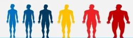 🔥 Você sabe quantas calorias seu corpo gasta por dia?